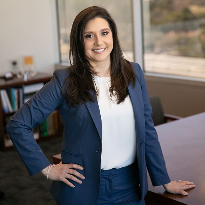Larisa Schneider Attorney at Law